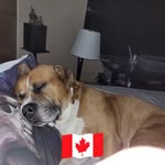 Wayne Hiebert - @hiebertwayne - Instagram
