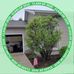 Clark W Eckenrode - Facebook