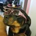 Wayne Eckert - Facebook