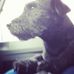 Wayne Edginton - Facebook