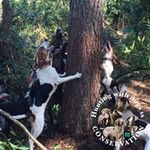 Wayne Edmondson - @edmondsonwayne - Instagram