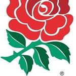 Wayne Edmondson - @wayneski69 - Instagram