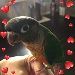 Waynetta Eggleston - @waynettaeggleston - Instagram