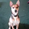 Samson Wayne Eicher - @samonroll - TikTok