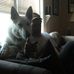 Wayne Eller - Facebook