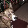 Wayne Ennis - @user2364562505997 - TikTok