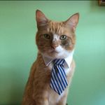 John Wayne Epperson - @johnwaynethetripodkitty - Instagram