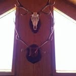 Wayne Erickson - @waynee6722 - Instagram