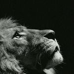 Wayne Jean Baptiste Etienne - @waynejeanbaptisteetienne - Instagram
