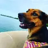 Wayne Everhart155 - @wayneeverhart252 - TikTok