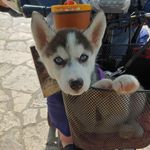 Wayne Everhart - @fearlesslycan_ - Instagram