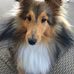 Wayne Fanning - Facebook