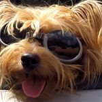 Wayne Mc Federico - @waynemyrtlebeach - Instagram