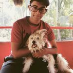 wayne fernandes - @brucewayne9716 - Instagram