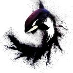 Wayne Fernandes - @wayne212000 - Instagram