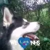 Wayne Fieldhouse - @waynefieldhouse - TikTok