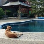 Wayne Finley - @wayne.finley.35 - Instagram