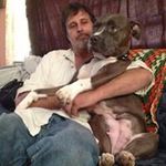 Wayne Flaherty - @flahertywayne - Instagram