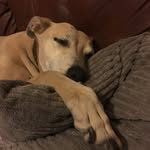 Wayne Flatt - @wayne.snp - Instagram