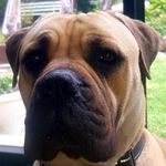Jason Wayne Flynn - @jasonwayne623 - Instagram