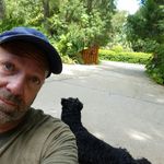 Wayne Flynn - @wayneinsarasota - Instagram