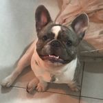 Bruce Wayne Fontana Silva - @bruce_waynefs - Instagram