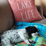 Wayne Foote - @foote.wayne - Instagram