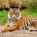 Wayne Forde DBA - @forde.w - Instagram