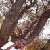 Wayne fortune - Facebook