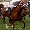 wayneframpton1 - @wayneframpton1 - TikTok