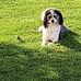 Wayne Frandsen - Facebook