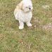 Wayne Frazier - Facebook