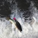 Wayne Freeman - @waynefreeman9700 - Instagram