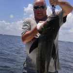 Wayne Freeman - @waynefreeman1004 - Instagram