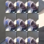 Wayne Freeman - @waynefreeman374 - Instagram