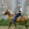 Wayne Frey - @wfrey47 - TikTok