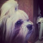 Wayne Friedrichs - @waynefriedrichs - Instagram