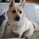 Sinéad Finucane - @waynetta_frisbie - Instagram