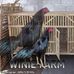 Winiee Framm - Facebook