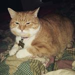 Wayne Frost - @wayne6817 - Instagram