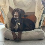 Wayne Frost - @wayne.frost.79219 - Instagram