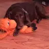 Wayne Fryer - @wayne.fryer - TikTok