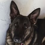 Wayne Fuchs - @waynefuchs - Instagram