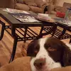 Wayne Fuchs - @wayne.fuchs6 - TikTok