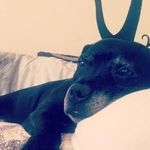 Wayne Fulcher - @big69badboy_ - Instagram