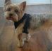 Wayne Fulford - Facebook