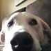Wayne Gagnon - Facebook
