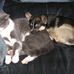 Wayne Garnett - Facebook