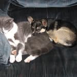 Wayne Garnett - @ausask - Instagram