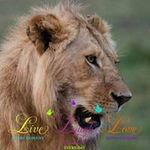 Wayne Gatchell - @wgatch - Instagram